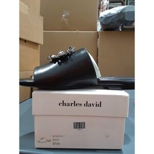 Charles David Soleil Black Slide Flat Sandal Jeweled